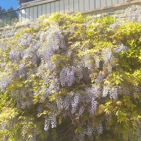 Authentique Mas Provencal With 180° Sea View Vallauris